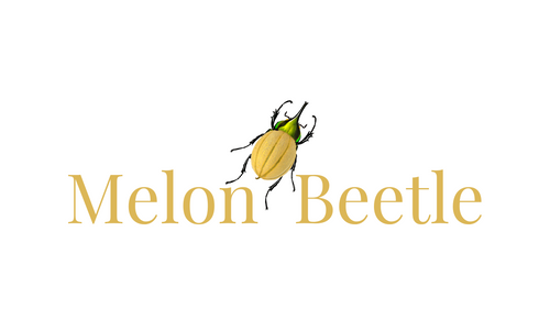 Melon Beetle 